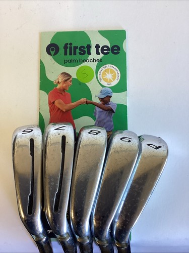 TaylorMade RSI-1 Iron Set 6-PW With Regular Steel Shafts - Picture 2 of 12