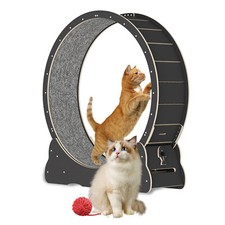 39.3" Black Cat Running Wheel Low Noise Spinning for Indoor Cat Sport NEW