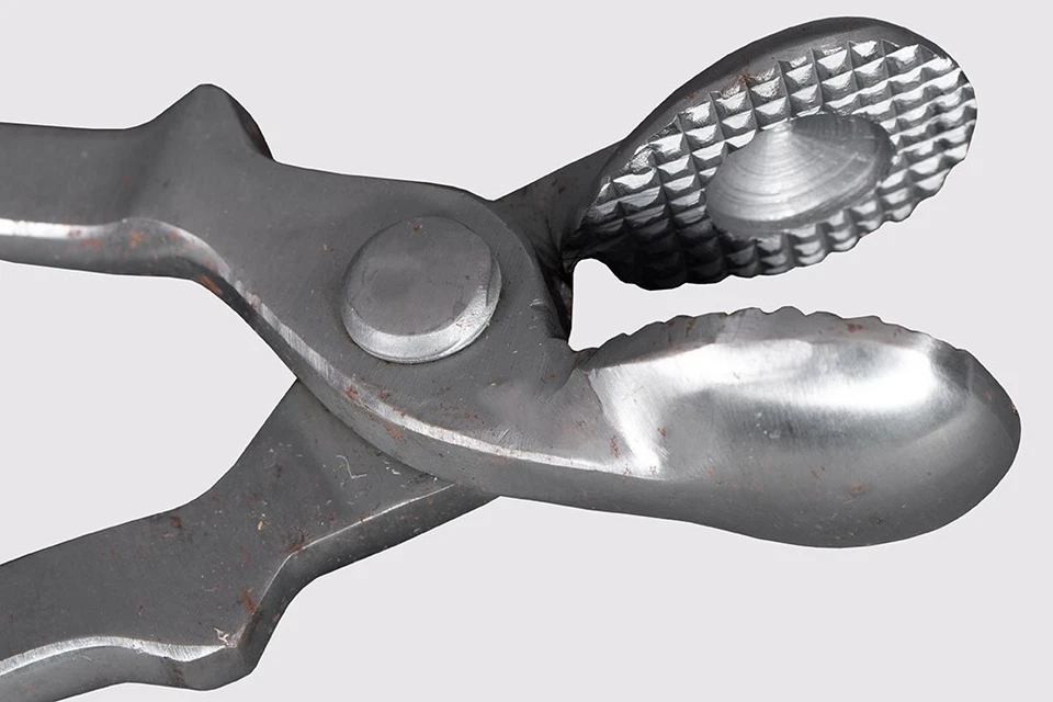 98RI Hilason Western Premium Horse Care Hoof Tester Tool Stainless Steel - Image 4 of 4