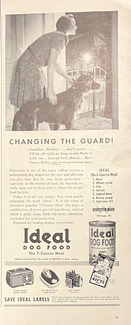 Changing The Guard Neat Ad