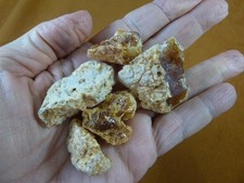 (k-4075) 25 g Rare Kauri tree Gum bag chips copal Amber New Zealand Tane Mahuta