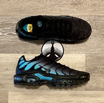 Nike Air Max Plus 'Black Dusty Cactus' Running Shoes DM0032-016