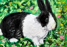 ORIGINAL ACEO Dutch RABBIT Painting Spring Flower Black White Bunny Animal ART