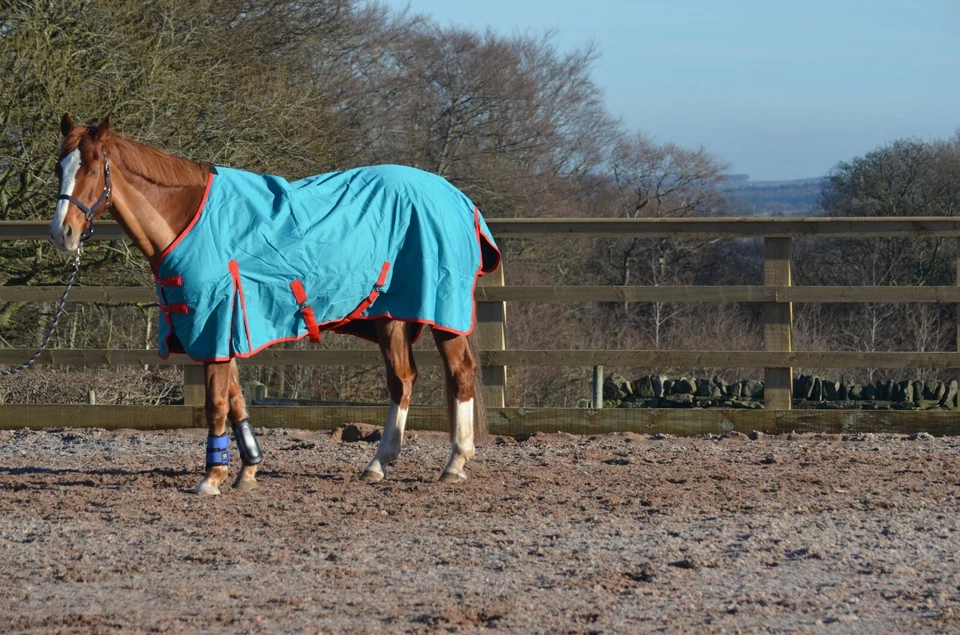 SALE! 100g leichte 600d wasserdichte atmungsaktive Pferde Pony Weidedecke Ripstop - Bild 2 von 4