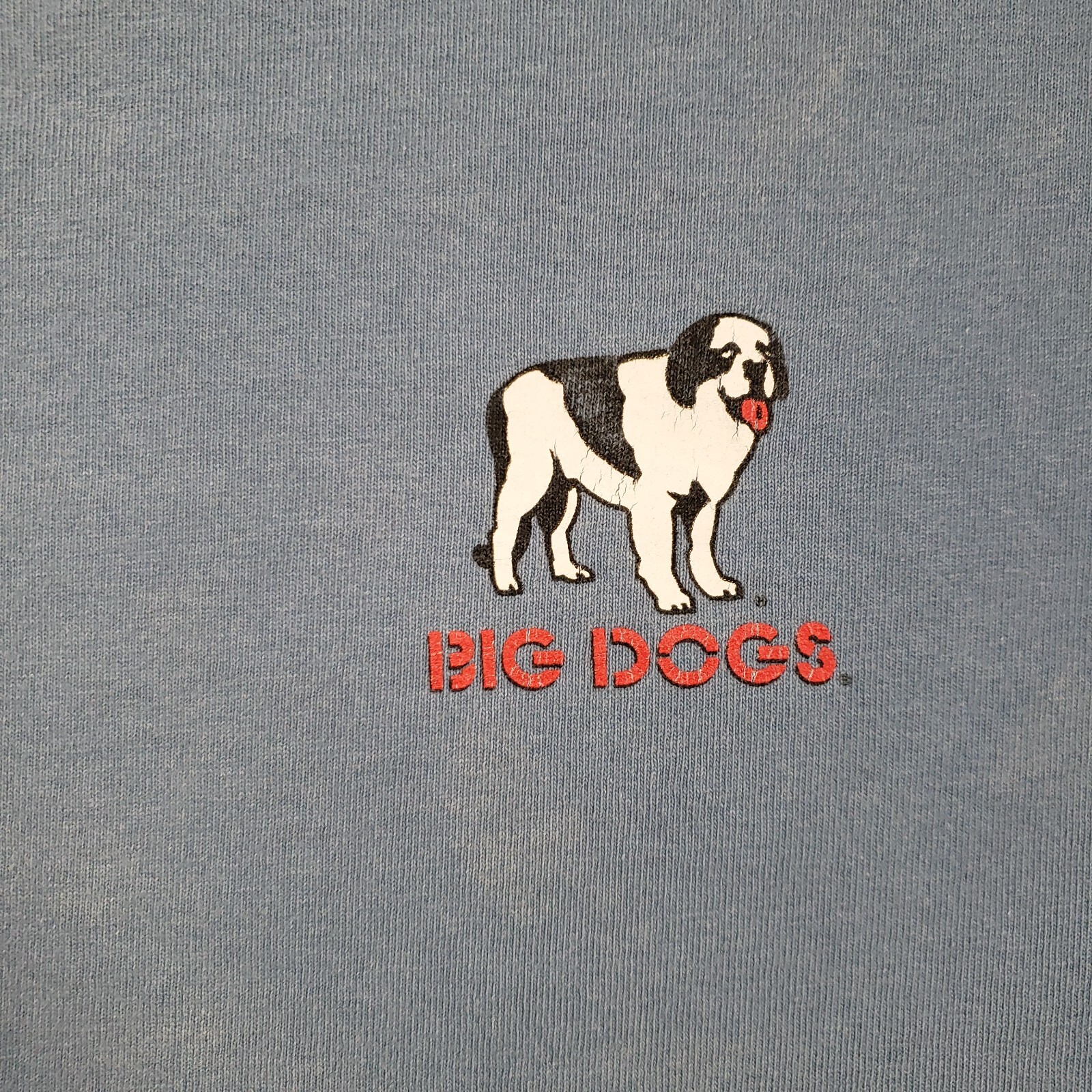 Vtg BIG DOGS Shirt Mens Medium Blue Y2k Sponge Dog 00 Short Sleeve eBay