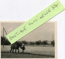 Agriculture PHoto d'un labour à l'ancienne Cheval et charrue A identifier