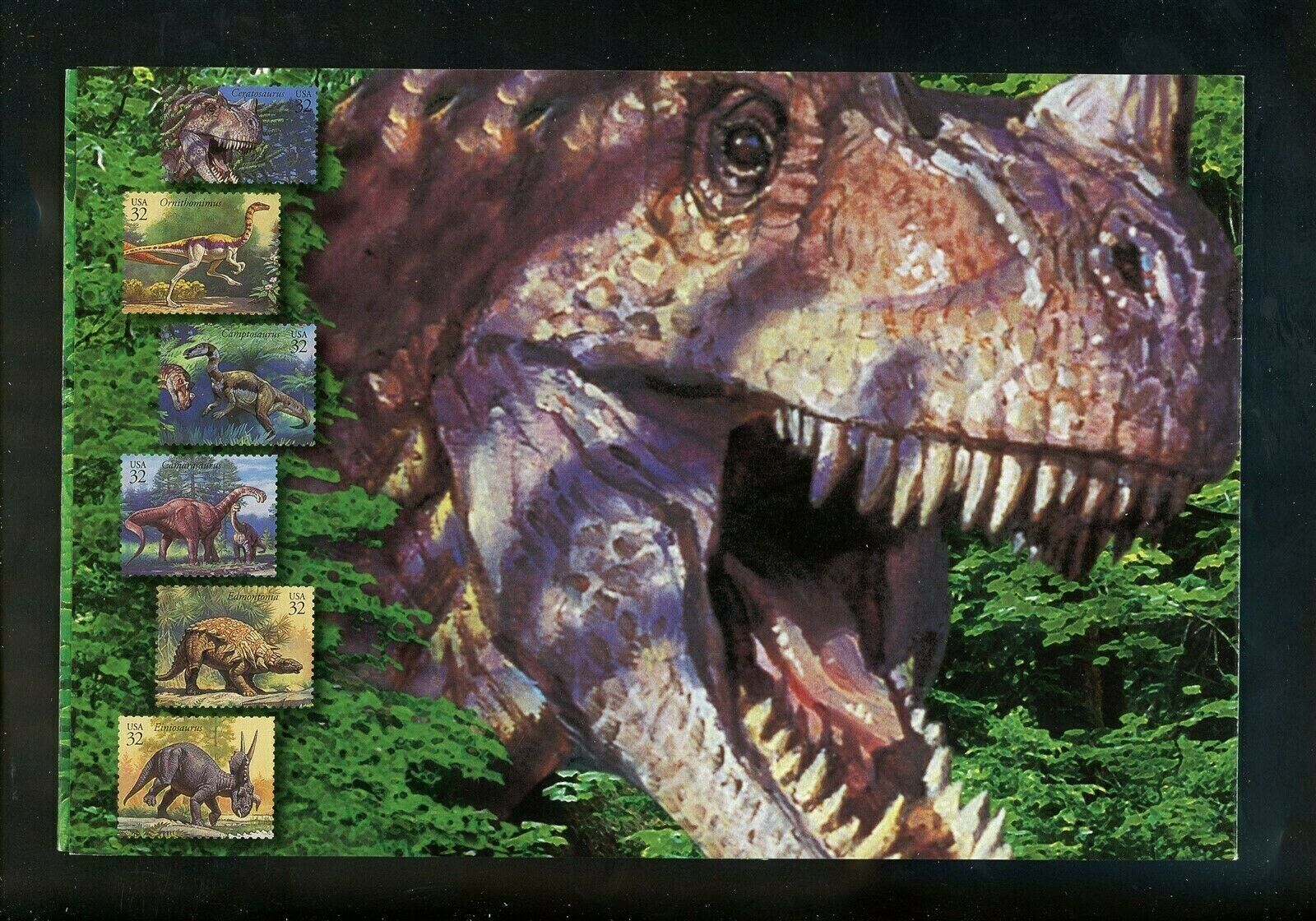 Picture 4 of 6