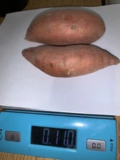 2 tubers of Organic Garnet Sweet Potatoes, Red skin Yams