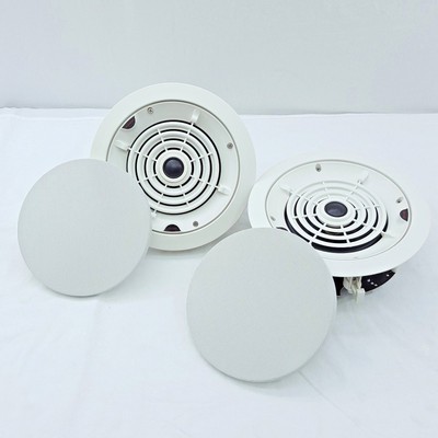 speakercraft crs one