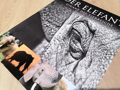 Der Elefant: Gigant des Tierreichs