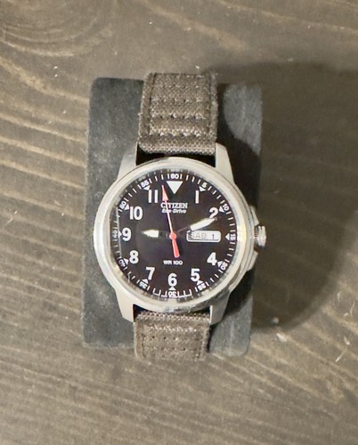 Citizen men's eco drive E101-S006597