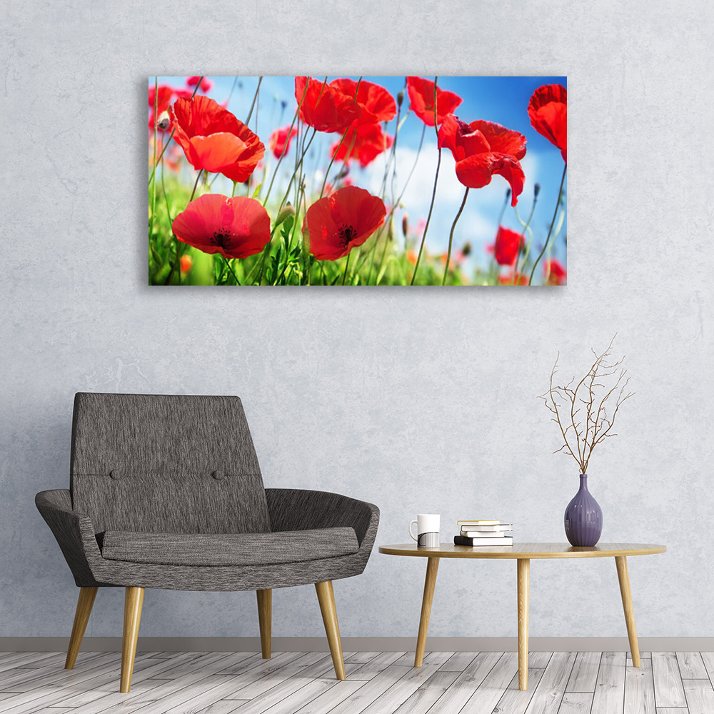 Tableau en verre acrylique 120x60cm nature avec coquelicots rouges