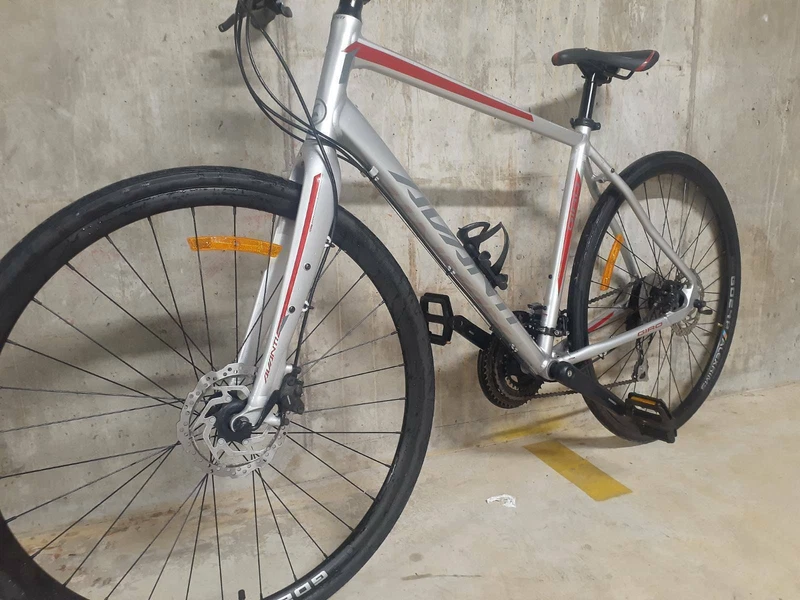 avanti flat bar road bike