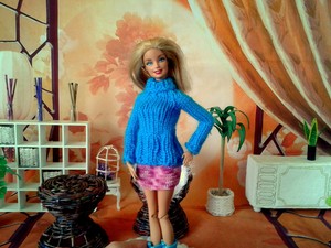 12 inch barbie dolls