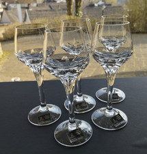 Spiegelau Astoria 5 x Likörschale / Likörglas / Apperitivglas neu Kristallglas