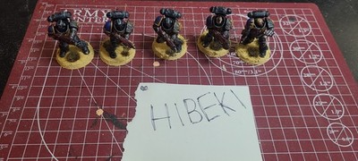 Games Workshop Warhammer 40K Space Marine Painted Deathwatch Intercessors 5x