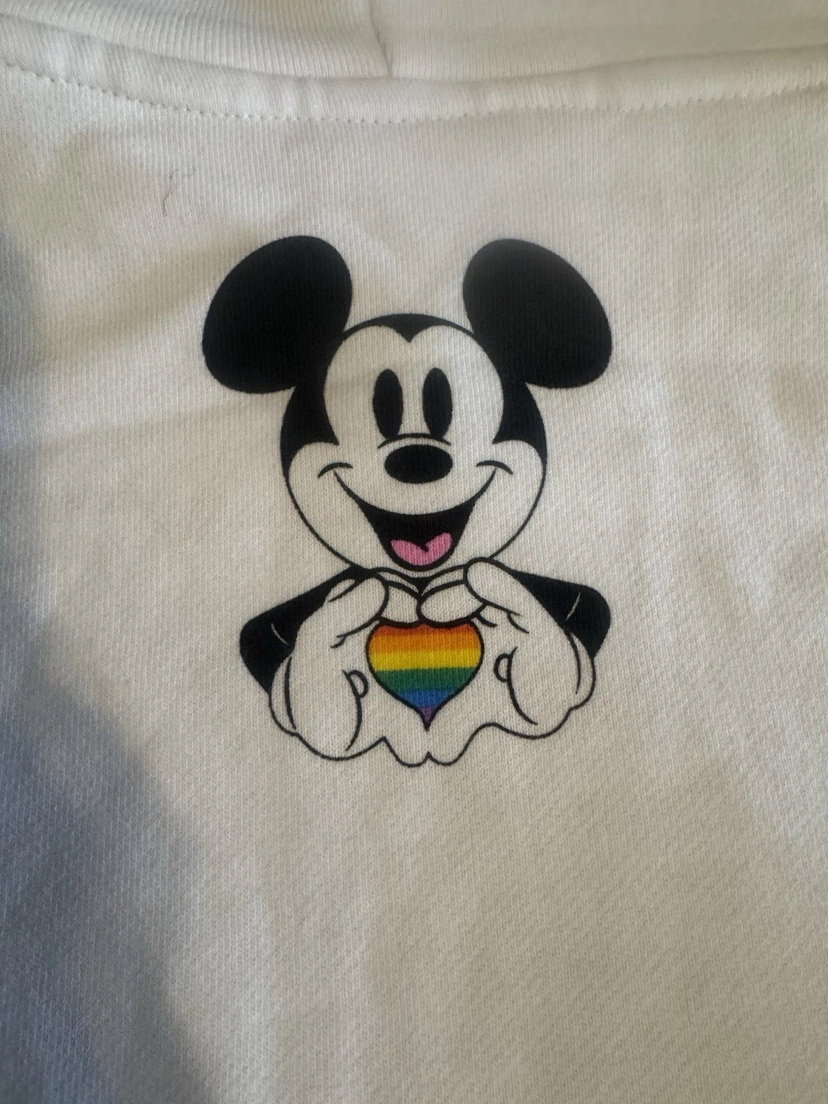 VETEMENTS Felpa con cappuccio Disney Parks 2023 Rainbow Pride adulti unisex taglia 2XL nuova con etichette