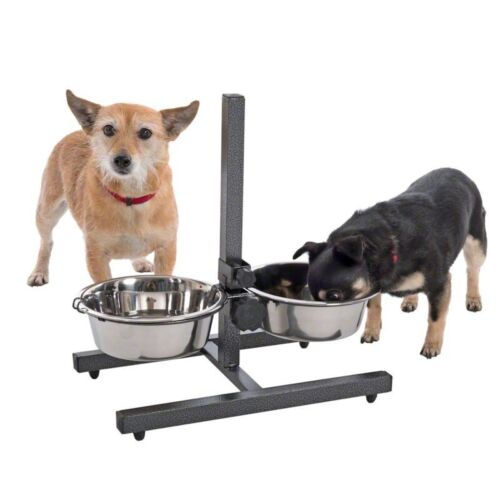 Supporto ciotola per cani ciotole in acciaio inox cibo altezza acqua regolabile qualità stabile - Foto 1 di 3