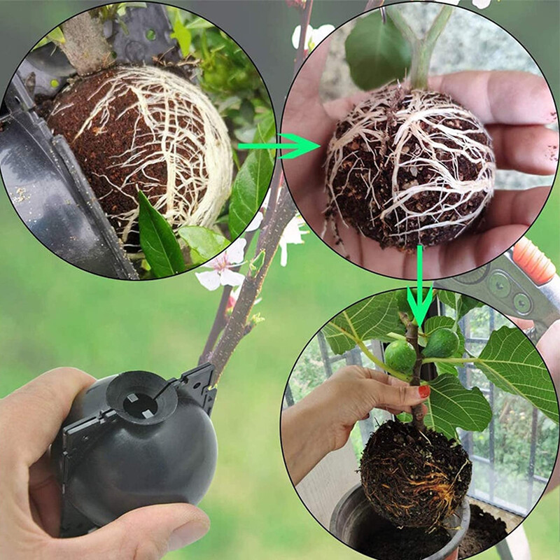 10st Air Layering Propagation Kit,12cm Plant Propagation Ball Root Growing Controller Rooting Kieming Device Box Groen voor thuis tuinieren