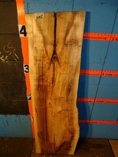 1095  1 1/2" THICK KILN DRIED ambrosia maple Live Edge Slab table shelf