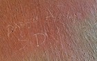 Bild 5 von 5