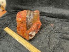 Z~ Noreena Jasper Rough 4 Lbs — photo 3