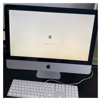 Apple iMac 21,5  Silber   8 GB RAM   500 GB HDD, OS X, gebraucht