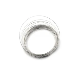 Platinum wire Platinum wire electrode Platinum wire Pt wire Electrophoresis tank