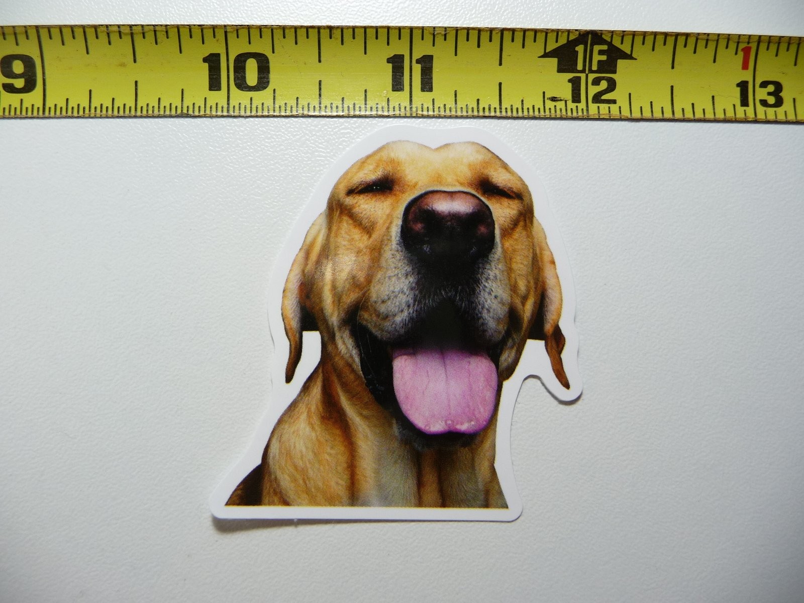Funny Closed-Eyes Labrador Retriever Dog Decal Sticker for Pet Lovers