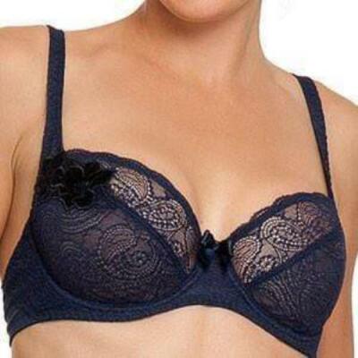 Sheer Lace Three-Quarter Bra New Lise Charmel Lingerie Fleur De Kerala CCC6219