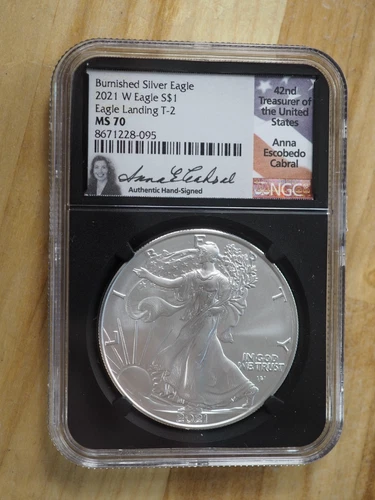 2021-W American Silver Eagle NGC MS70 Burnished Anna Cabral Sig Eagle Landing T2