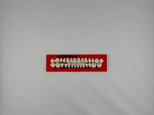 28 Piece Dental Acrylic Resin Denture Synthetic False Teeth A1/A2/A3, T6/T8 New