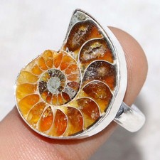 Ammonite Fossil 925 Silver Plated Gemstone Ring Us 8 Aesthetic Jewellery JW
