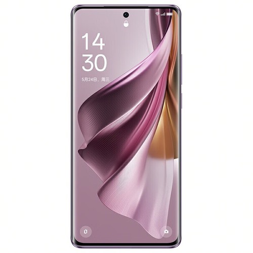 OPPO Reno10 Pro+ Smartphone Android 13 Snapdragon 8+ Gen 1 Octa Core WIFI NFC - Afbeelding 15 van 22
