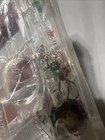 Picture 17 of 19