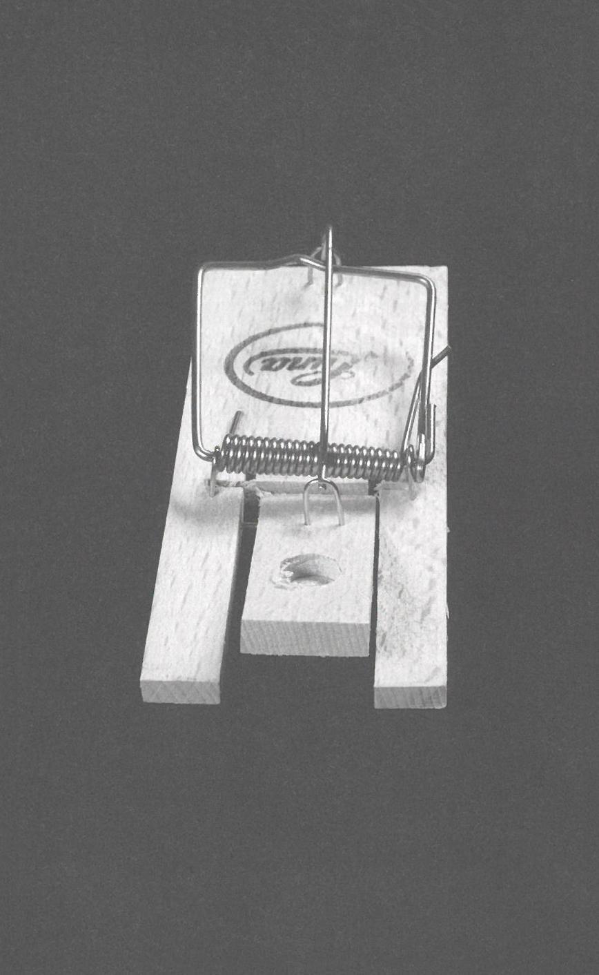 Thumbnail - Aresidenz Fahrenbühl Anna Haifisch