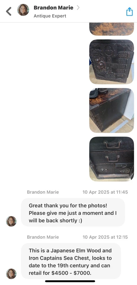 Antiguo cofre marino de barco japonés de madera de olmo y hierro del siglo XIX tasación de $4500-7K Foto 4 de 4