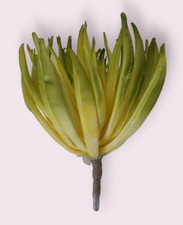 CACTUS SUCCULENTO SUPER REALISTICO ~ 6" pianta artificiale non in vaso finta scelta