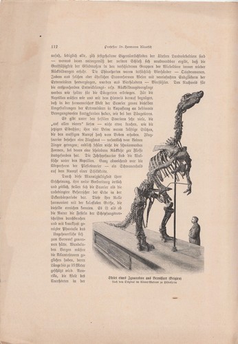 Alte ANTIKE KUNSTDRUCKE von 1902 aus Wissenschafts-Magazinen ECHT Buchseiten A4 - Bild 17 von 24