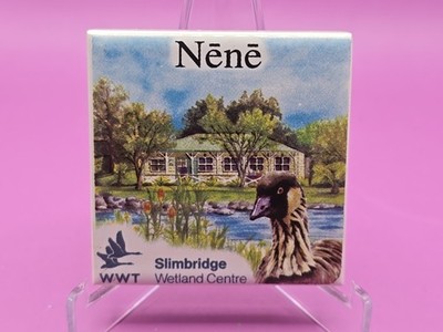 Kühlschrankmagnet - Souvenir Geschenk Reise Urlaub - Nene Slimbridge Wetland Centre