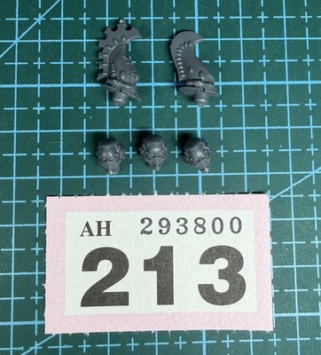 Aeldari Fire Dragon Head Helmet Bundle Exarch Aspect Warrior Eldar Corsair 40K 