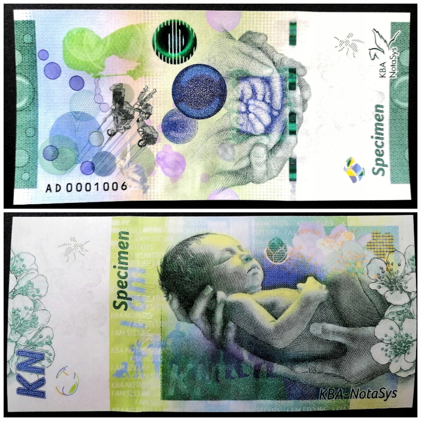 Foto 11 di 11