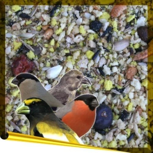 BIRDSANDMORE Complet Card G 1kg für Vögel trockenes Eifutter Dompfaff Grünfinken Cardueliden