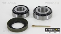 Triscan 853021205 Radlagersatz Radlager Satz Hinterachse Hinten