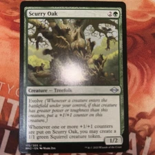 Magic The Gathering Scurry Oak  Modern Horizons 2 172/303 MAGIC LP