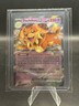 Dachsbun ex 067/142 Sv07: Stellar Crown Holo Pokémon TCG NM 2024