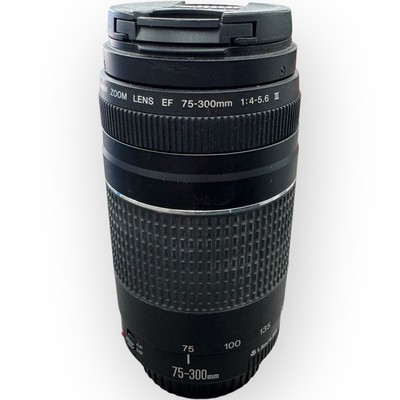Canon Ultrasonic Zoom Lens EF 75-300mm 1:4-5.6 III USM! (WMP015213)