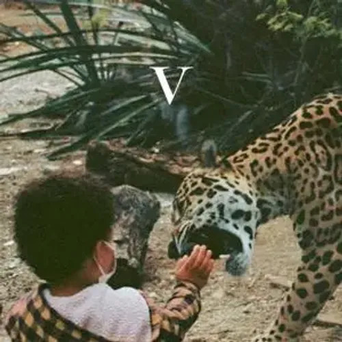 V | Unknown Mortal Orchestra | Audio-Cd | CD | 2023 | 375 Media GmbH-image