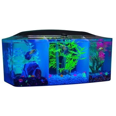Cool Home Fish Tanks: Transform Your Space Today!
