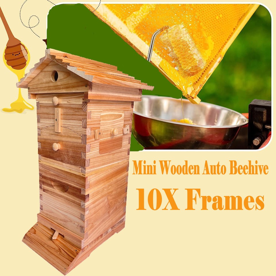 MINI 10X Upgraded Auto Honey Frames &Wooden Bee Hive House Beehive Box ...